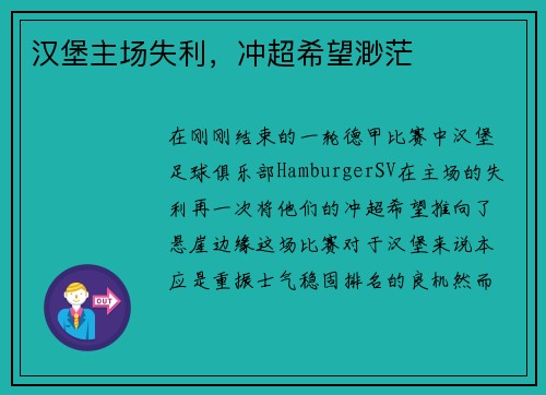 汉堡主场失利，冲超希望渺茫